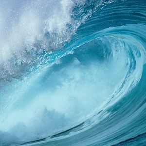 Meet your Posher, Shelly